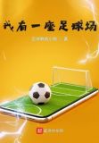 建一座足球场需要多少钱