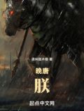 晚唐朕小说
