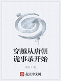穿越到唐朝的历史小说