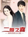二婚之喜